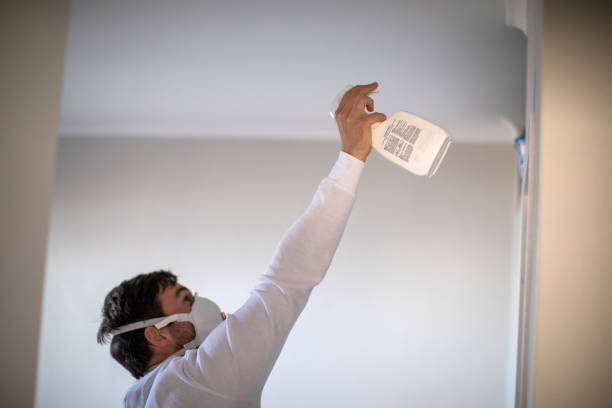 Best Mold Testing  in Chieand, FL