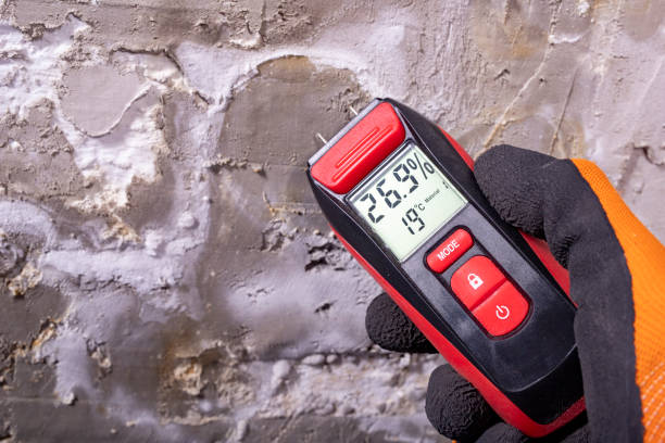 Best Residential Mold Removal  in Chieand, FL